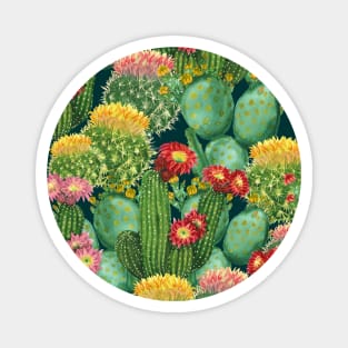 Cactus texture Magnet